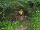 Maunawili Demonstration Trail
